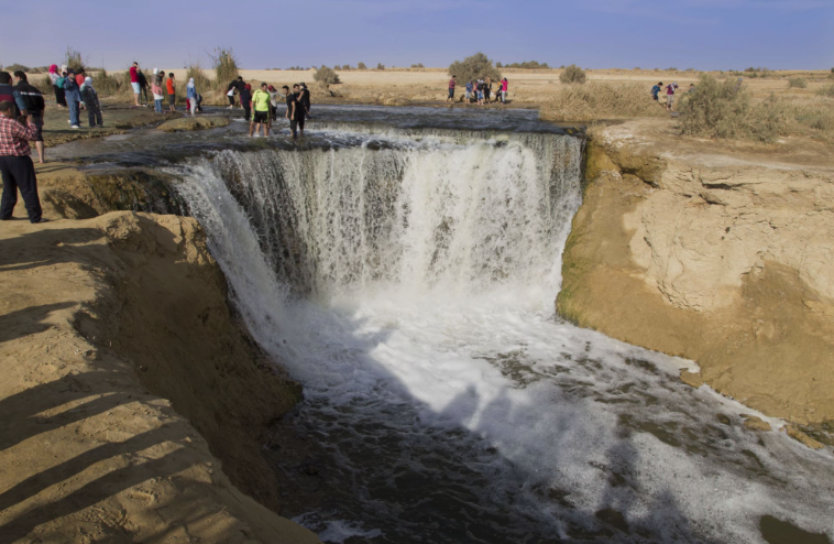 Two Days Trip to Fayoum and Wadi El Hitan