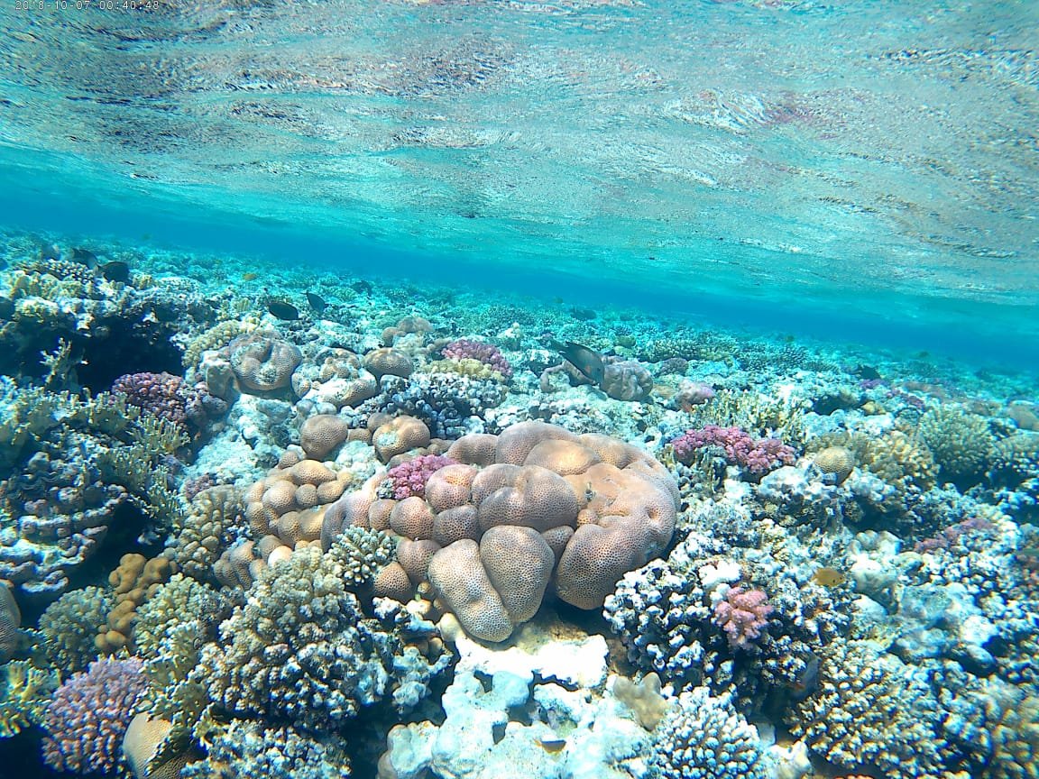 Sharm El Naga Full-Day Snorkeling Tour From Hurghada