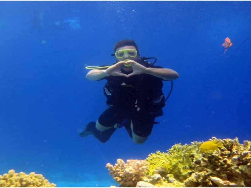 Discover the Red Sea: Premium Shore Scuba Diving Experience in Sharm El-Sheikh