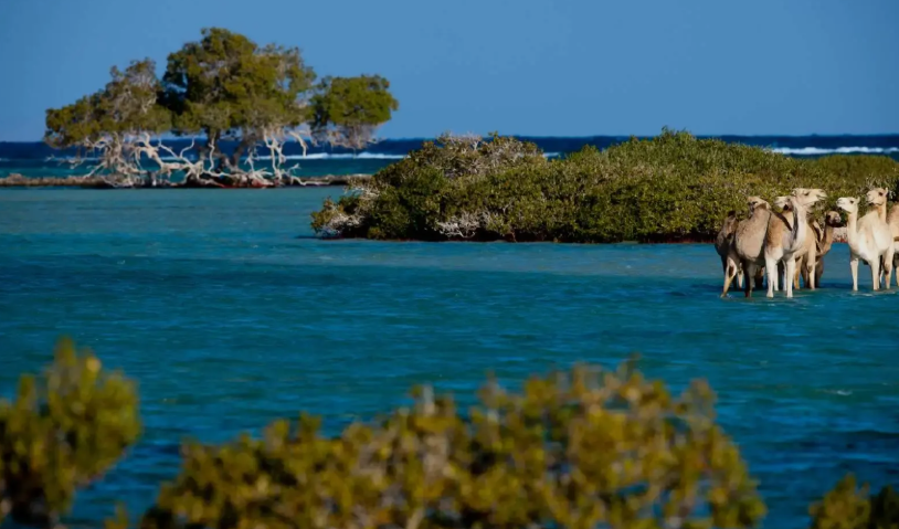 Wadi El Gamal From Marsa Alam