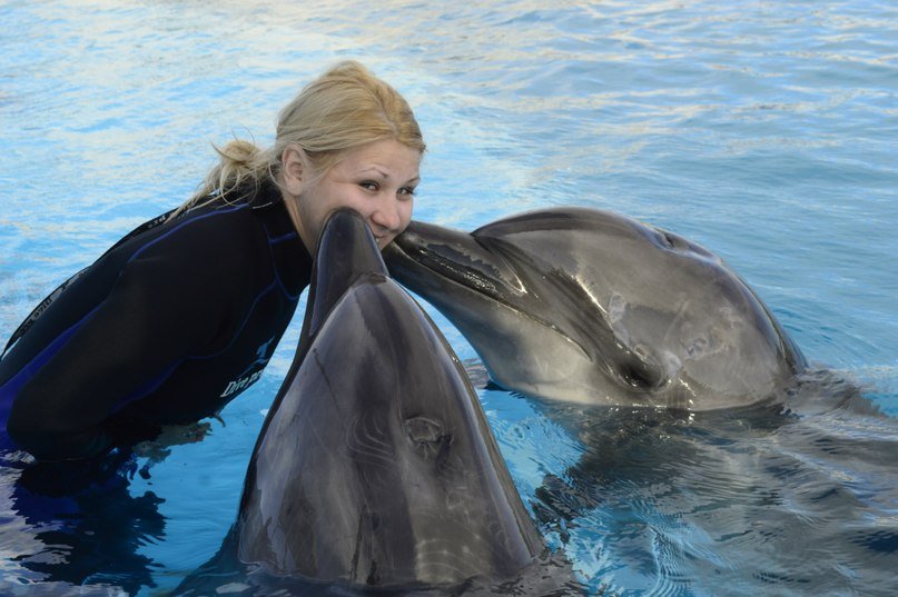 Dolphin Swim from Hurghada